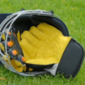 Cricket gloves